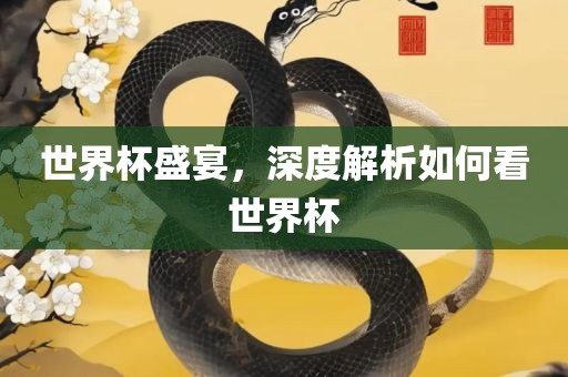 世界杯盛宴，深度解析如何看世界杯