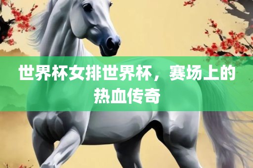 世界杯女排世界杯，赛场上的热血传奇