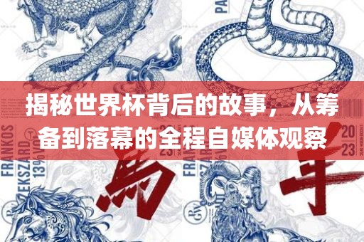 揭秘世界杯背后的故事，从筹备到落幕的全程自媒体观察