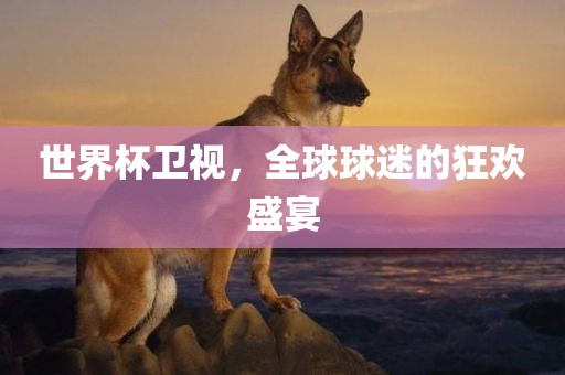 世界杯卫视，全球球迷的狂欢盛宴吉安市靖泰电力工程有限公司