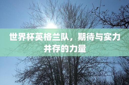 世界杯英格兰队，期待与实力并存的力量