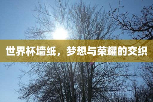 世界杯墙纸，梦想与荣耀的交织