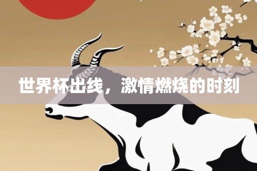 世界杯出线，激情燃烧的时刻