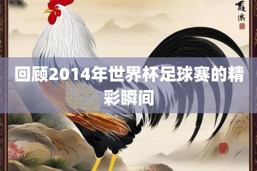 回顾2014年世界杯足球赛的精彩瞬间吉安市靖泰电力工程有限公司