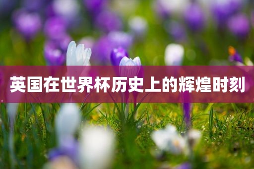 英国在世界杯历史上的辉煌时刻