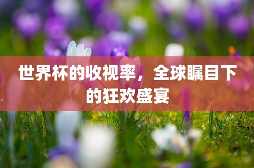 世界杯的收视率，全球瞩目下的狂欢盛宴