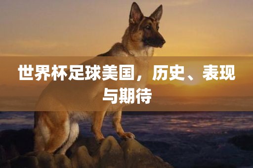世界杯足球美国，历史、表现与期待