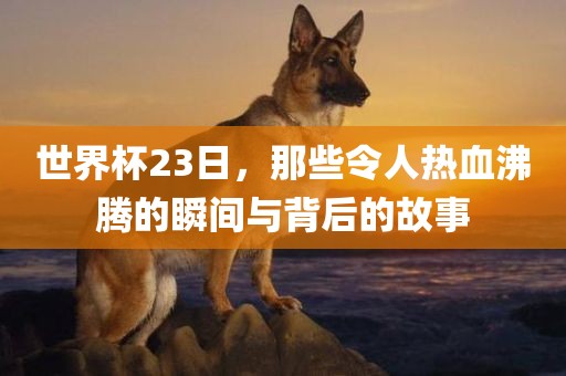 世界杯23日，那些令人热血沸腾的瞬间与背后的故事