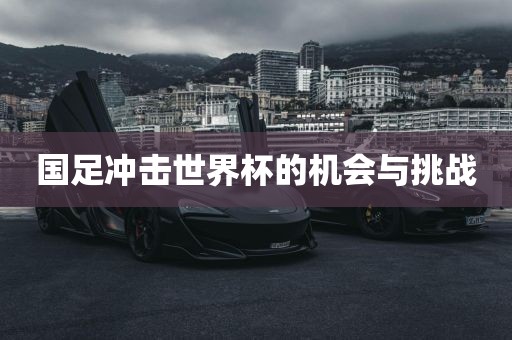 国足吉安市靖泰电力工程有限公司冲击世界杯的机会与挑战