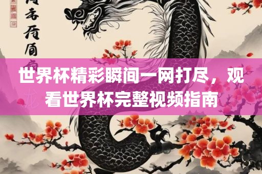 世界杯精彩瞬间一网打尽，观看世界杯完整视频指南