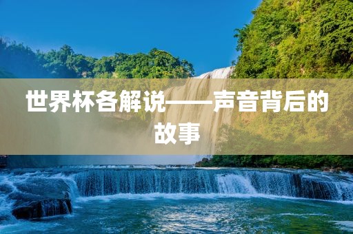 世界杯各解说——声音背后的故事