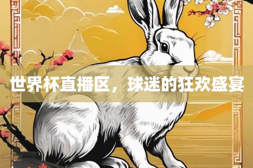 世界杯直播区，球迷的狂欢盛宴