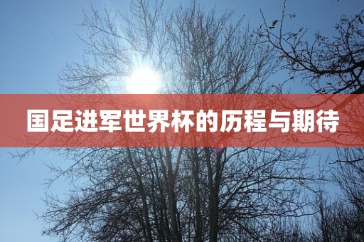 国足进军世界杯的历程与期待