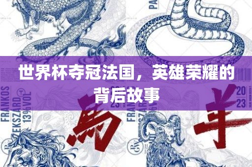 世界杯夺冠法国，英雄荣耀的背后故事