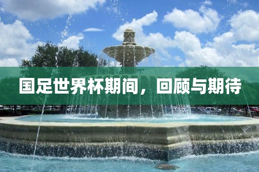 国足世界杯期间，回顾与期待