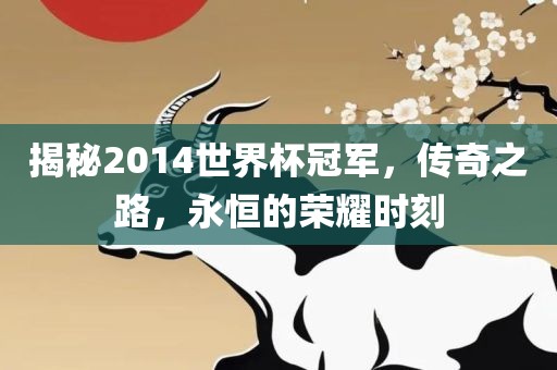 揭秘2014世界杯冠军，传奇之路，永恒的荣耀时刻吉安市靖泰电力工程有限公司