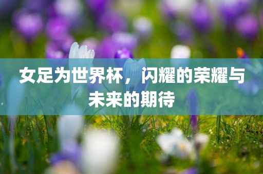 女足为世界杯，闪耀的荣耀与未来的期待