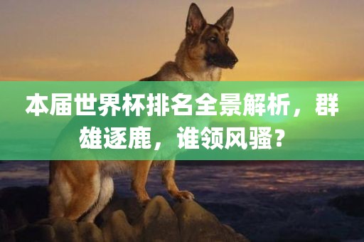 本届世界杯排名全景解析，群雄逐鹿，谁领风骚？