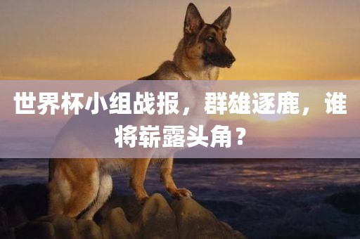 世界杯小组战报，群雄逐鹿，谁将崭露头角？