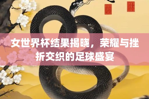 女世界杯结果揭晓，荣耀与挫折交织的足球盛宴