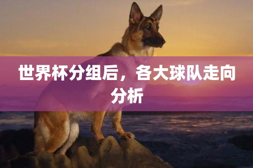 世界杯分组后，各大球队走向分析