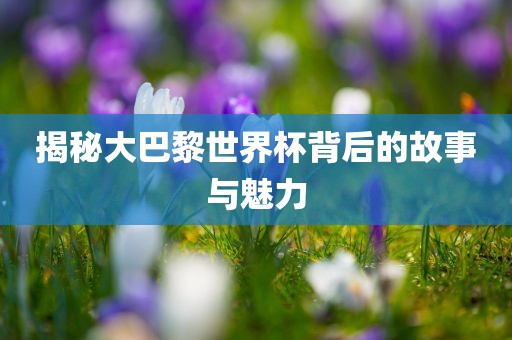 揭秘大巴黎世界杯背后的故事与魅力