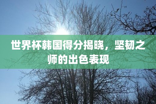 世界杯韩国得分揭晓，坚韧之师的出色表现
