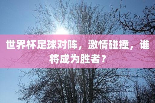 世界杯足球对阵，激情碰撞，谁将成为胜者？