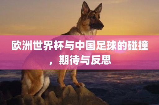 欧洲世界杯与中国足球的碰撞，期待与反思