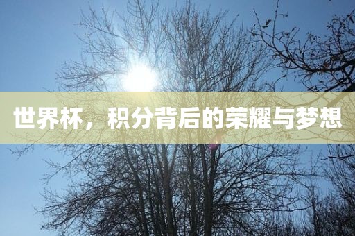 世界杯，积分背后的荣耀与梦想