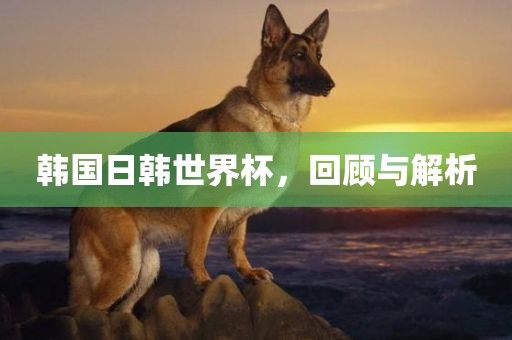 韩国日韩世界杯，回顾与解析