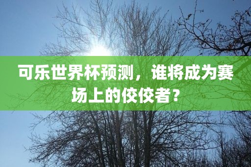 可乐世界杯预测，谁将成为赛场上的佼佼者？