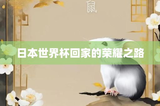 日本世界杯回家的荣耀之路