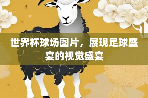 世界杯球场图片，展现足球盛宴的视觉盛宴