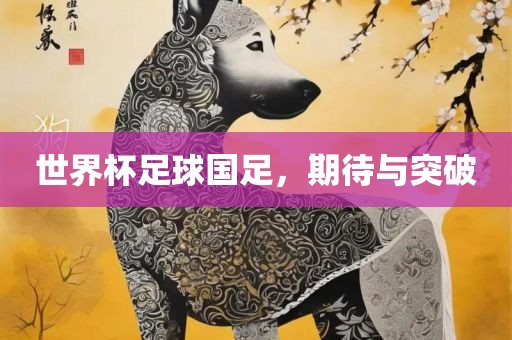 世界杯足球国足，期待与突破