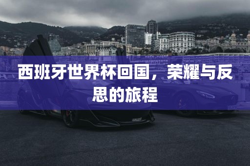 西班牙世界杯回国，荣耀与反思的旅程