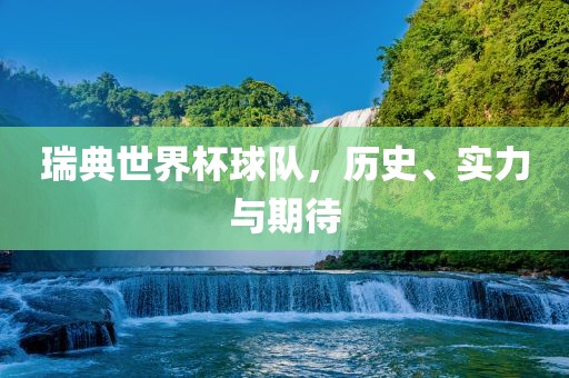 瑞典世界杯球队，历史、实力与期待