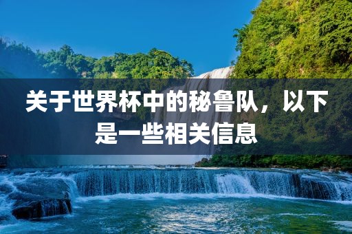 关于世界杯中的秘鲁队，以下是一些相关信息