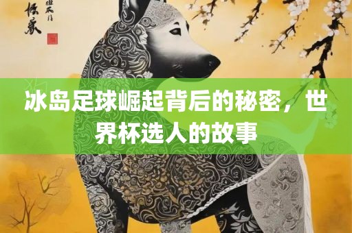 冰岛足球崛起背后的秘密，世界杯选人的故事