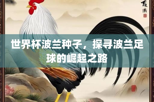 世界杯波兰种子，探寻波兰足球的崛起之路