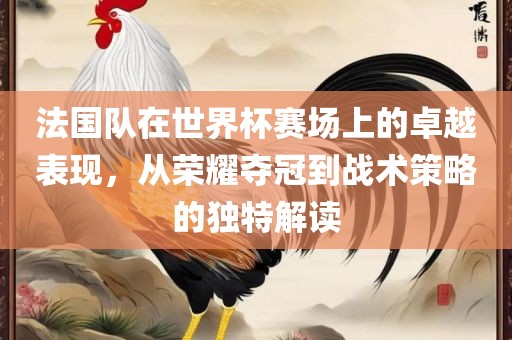 法国队在世界杯赛场上的卓越表现，从荣耀夺冠到战术策略的独特解读