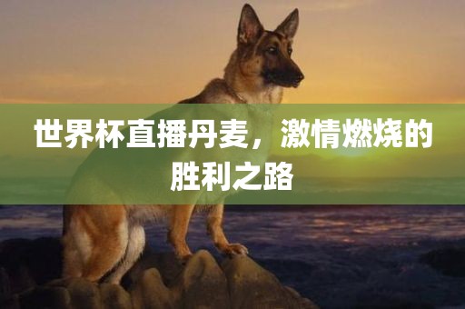 世界杯直播丹麦，激情燃烧的胜利之路