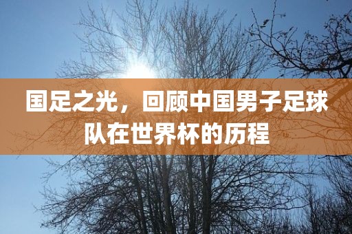 国足之光，回顾中国男子足球队在世界杯的历程