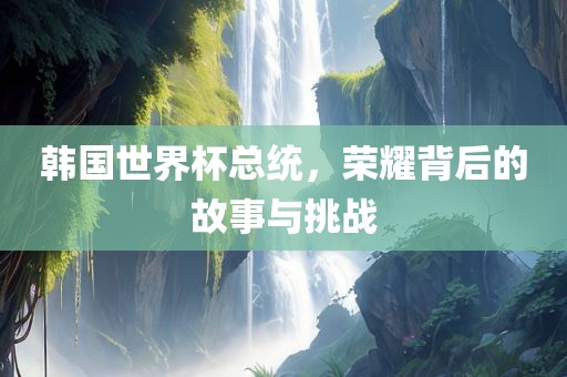 韩国世界杯总统，荣耀背后的故事与挑战