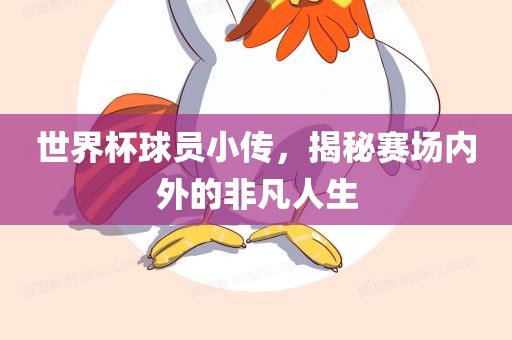 世界杯球员小传，揭秘赛场内外的非凡人生