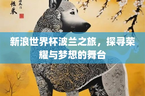 新浪世界杯波兰之旅，探寻荣耀与梦想的舞台