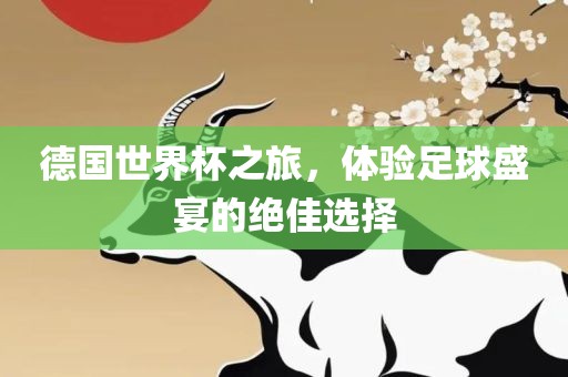 德国世界杯之旅，体验足球盛宴的绝佳选择