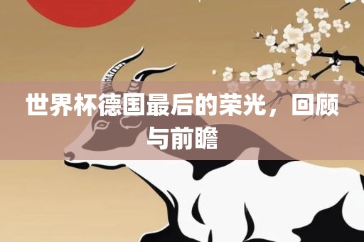世界杯德国最后的荣光，回顾与前瞻