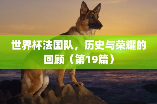 世界杯法国队，历史与荣耀的回顾（第19篇）