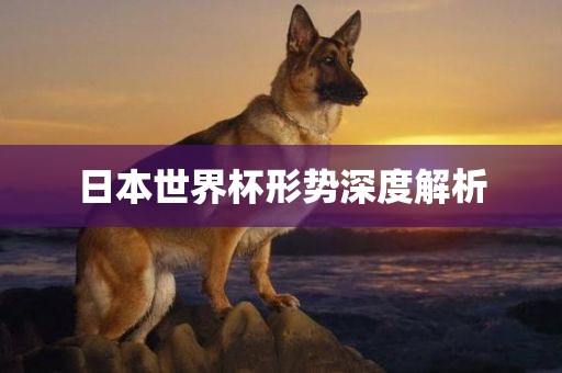 日本世界杯形势深度解析